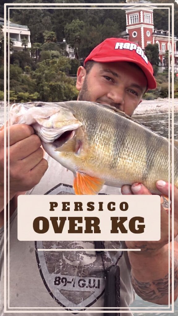 Contenuto Instagram di @pelagic_fishing_predator