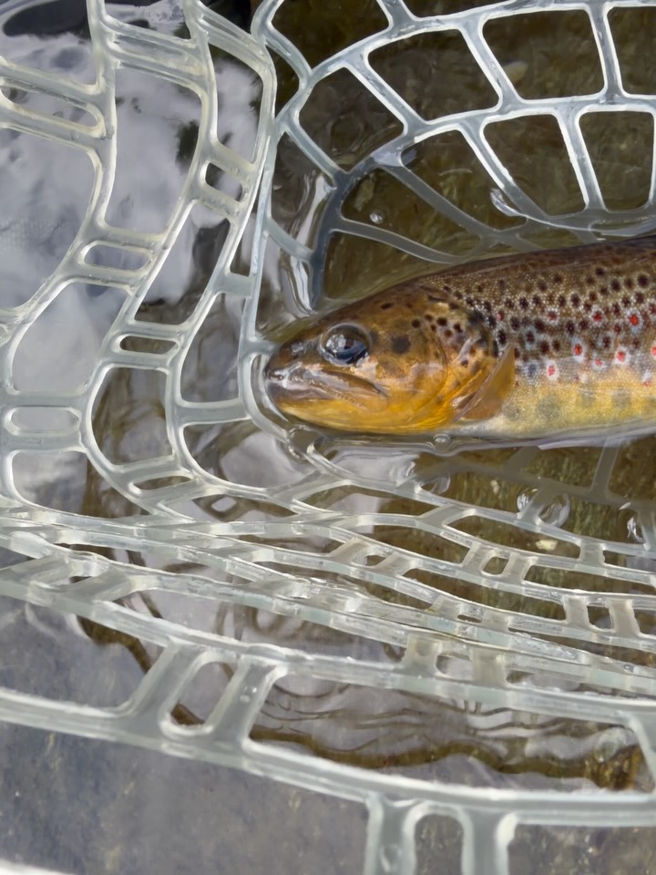 Contenuto Instagram di @frank.fishing.guide.piemonte