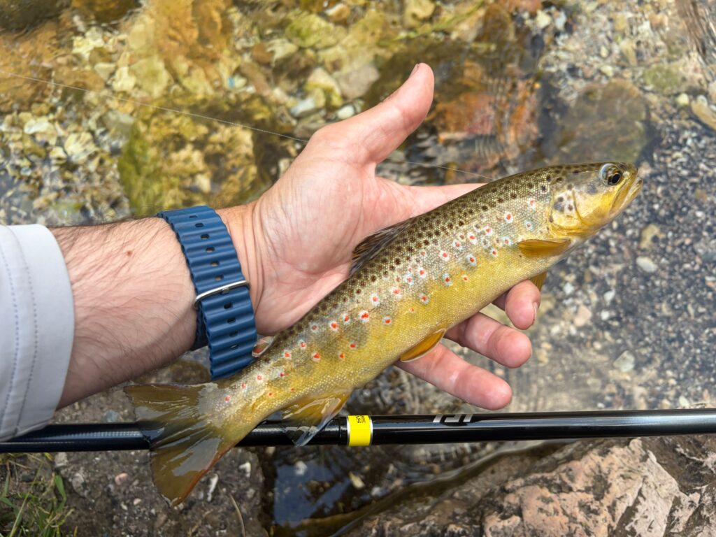 Andrea Crobu — attività di guida di pesca