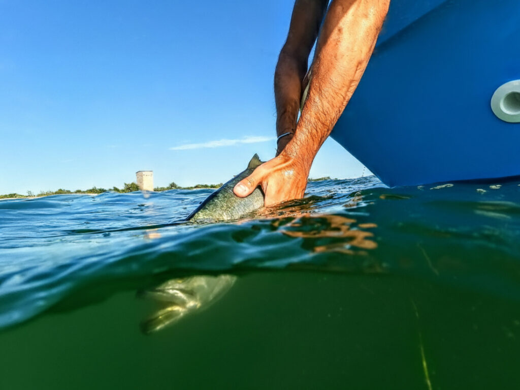 Claudio Lorenzon — attività di guida di pesca