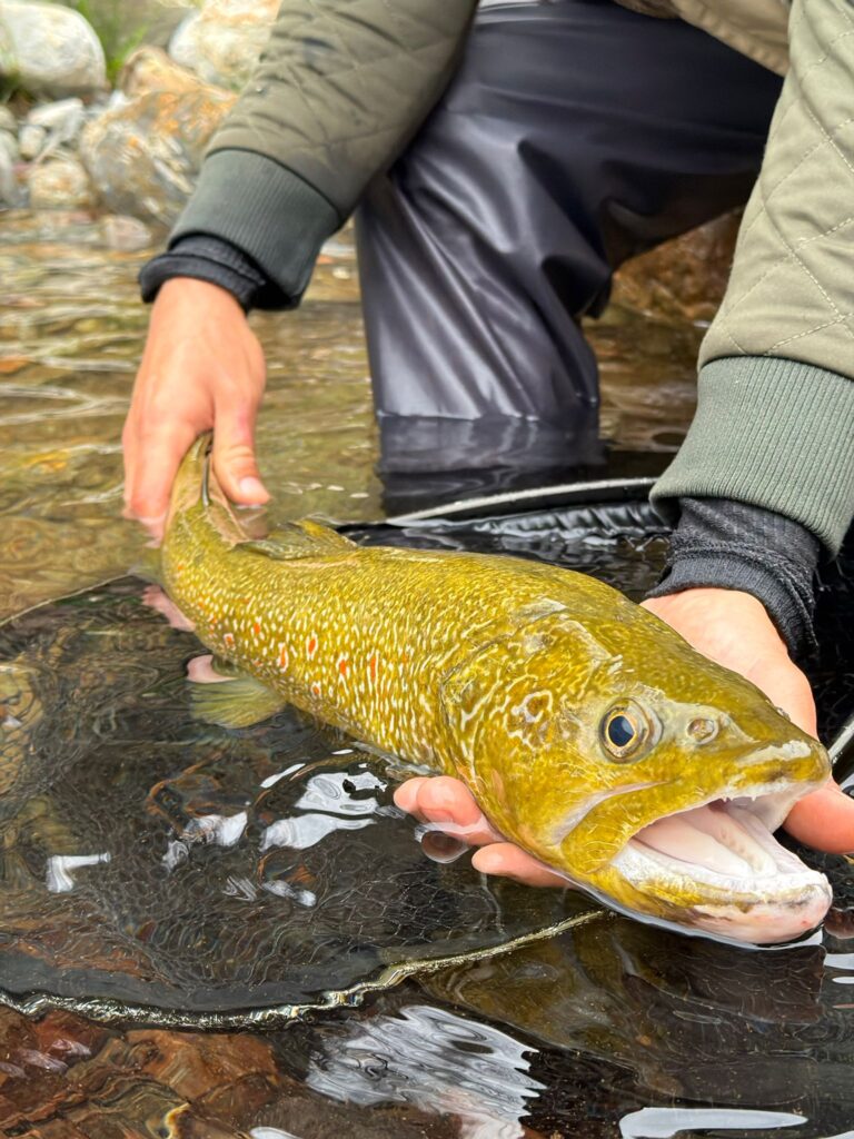 Andrea Carando — attività di guida di pesca