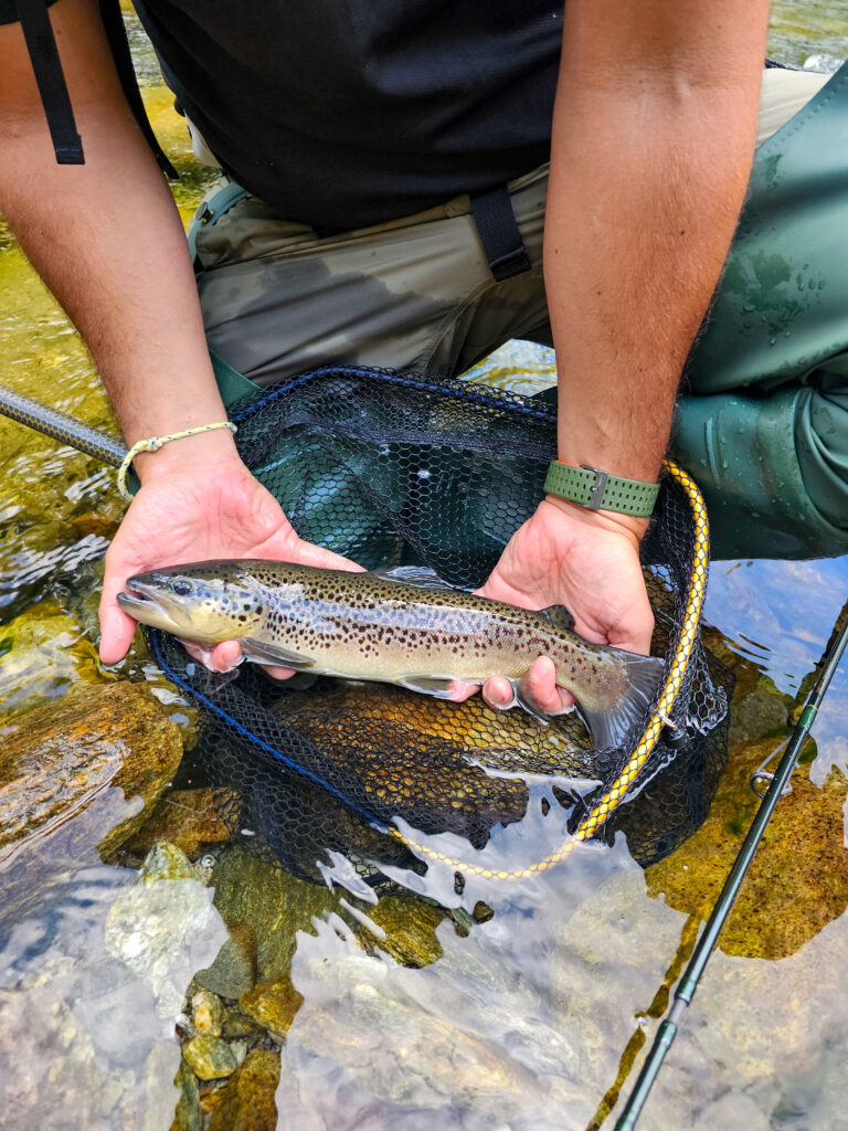 Carlalberto Buscemi — attività di guida di pesca