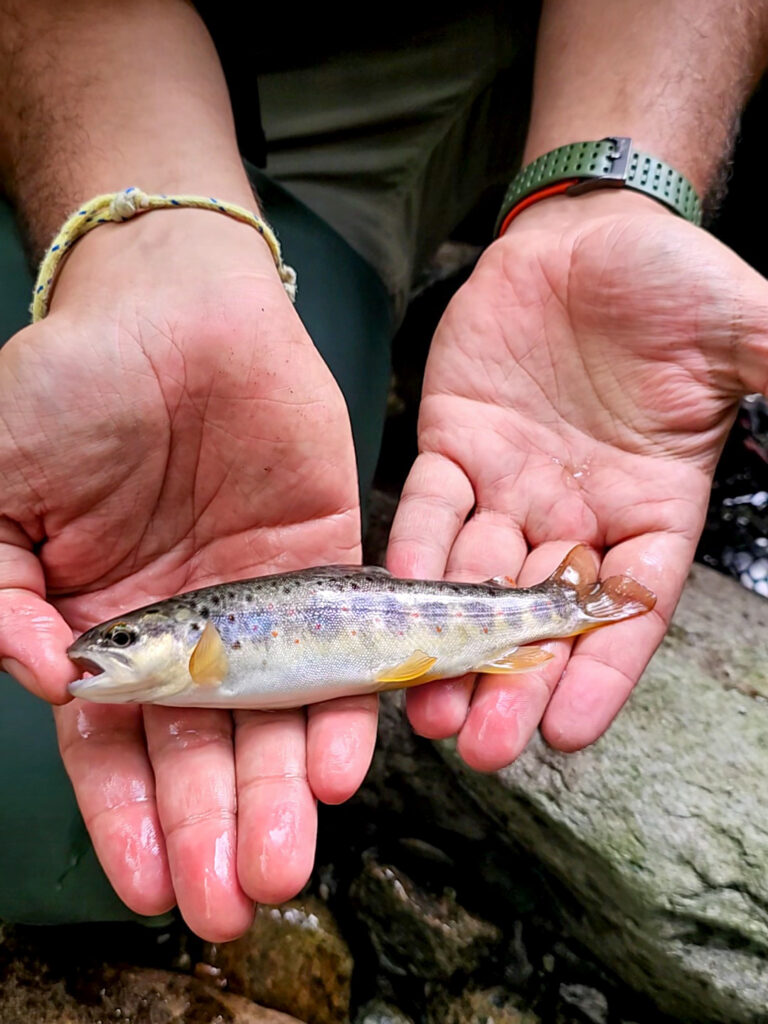 Carlalberto Buscemi — attività di guida di pesca