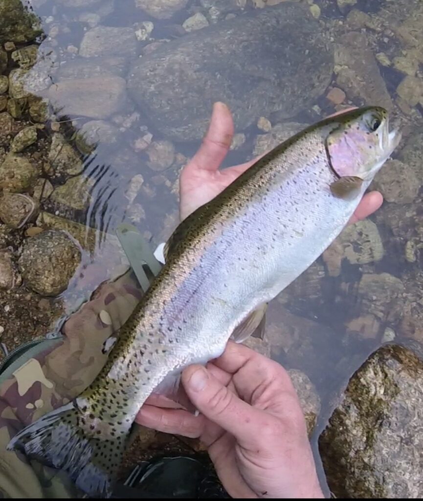 Federico Di Gennaro — attività di guida di pesca
