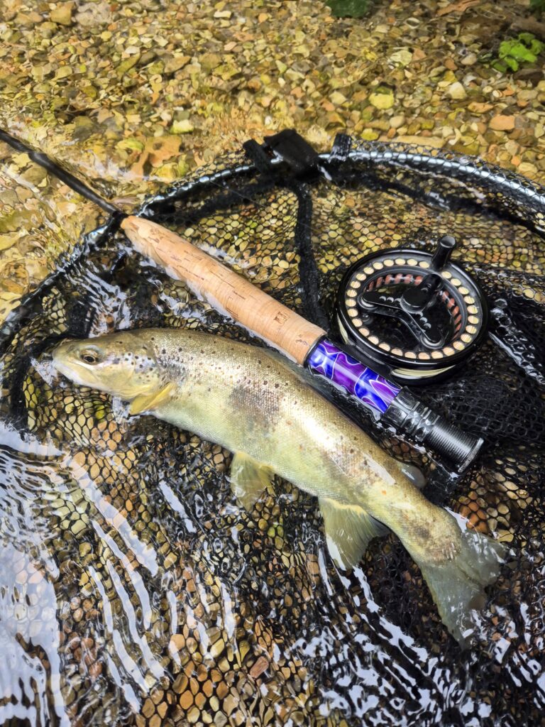 Elia Frontalini — attività di guida di pesca