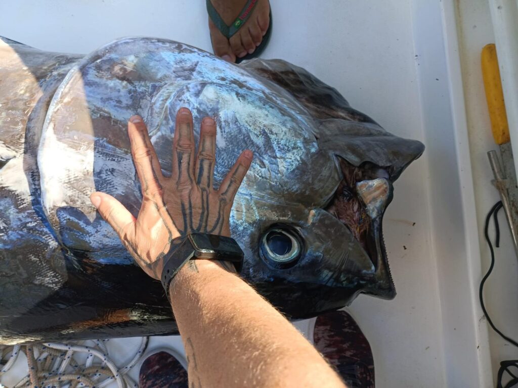 Matteo Marigo — attività di guida di pesca