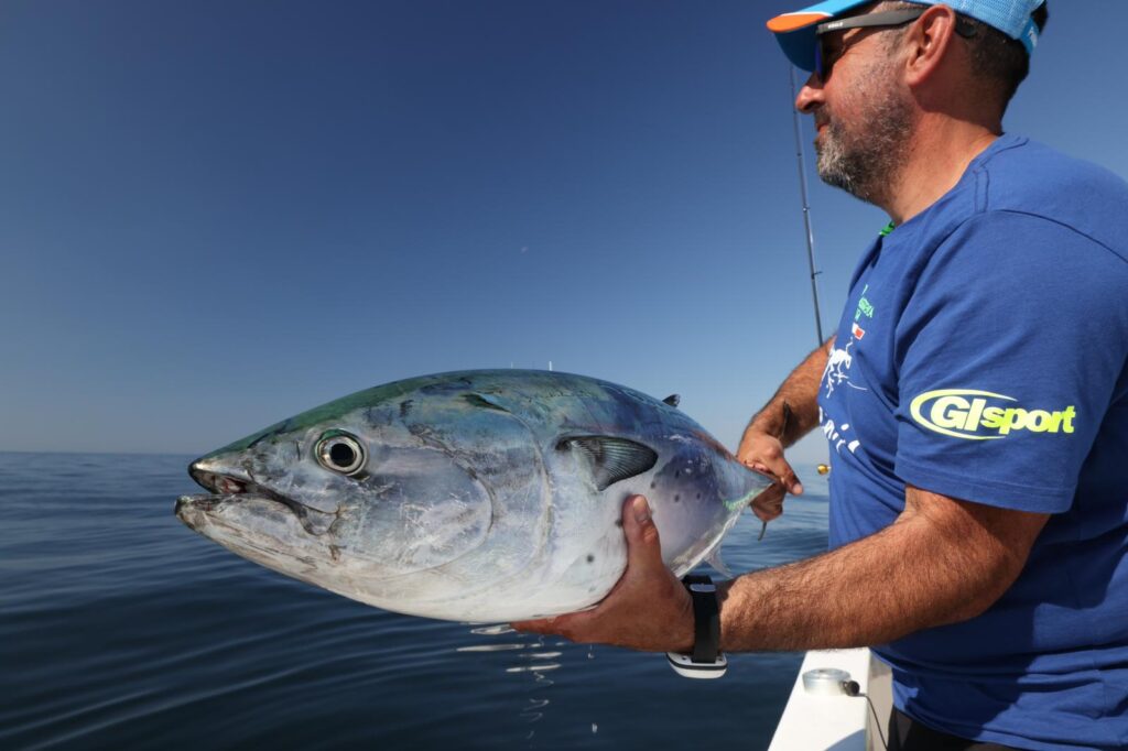Francesco Casillo — attività di guida di pesca