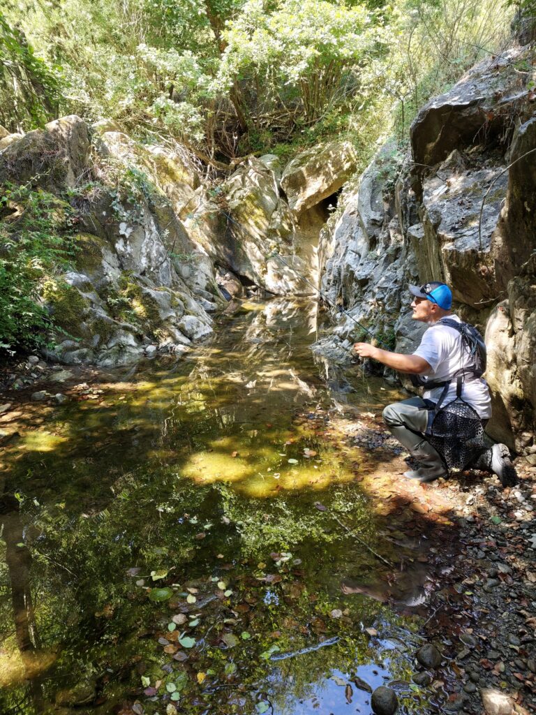 Silvestro Vitaliti — attività di guida di pesca