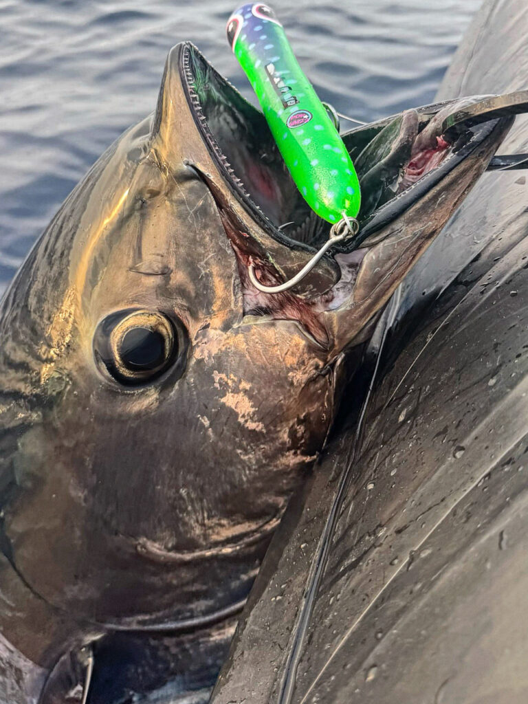 Andrea Poletti — attività di guida di pesca