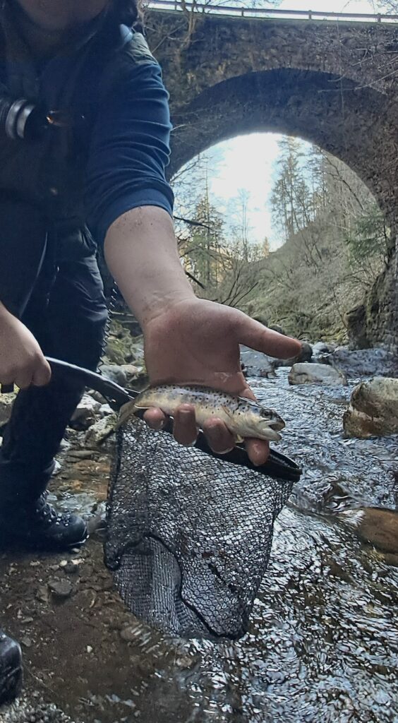 Alex Moro — attività di guida di pesca