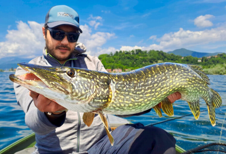 Matteo Cenerini