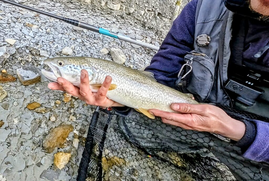 Marco Lunardi — attività di guida di pesca