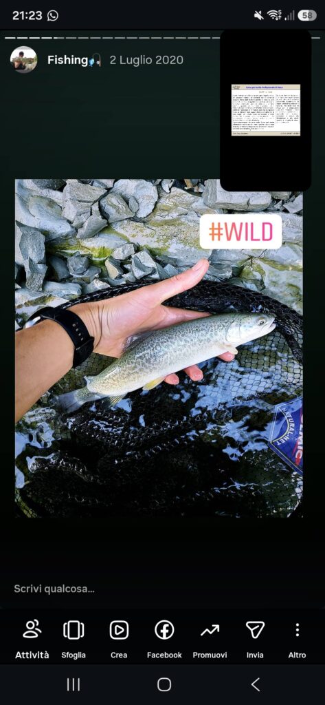 Marco Lunardi — attività di guida di pesca