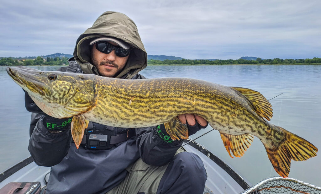 Matteo Cenerini — attività di guida di pesca