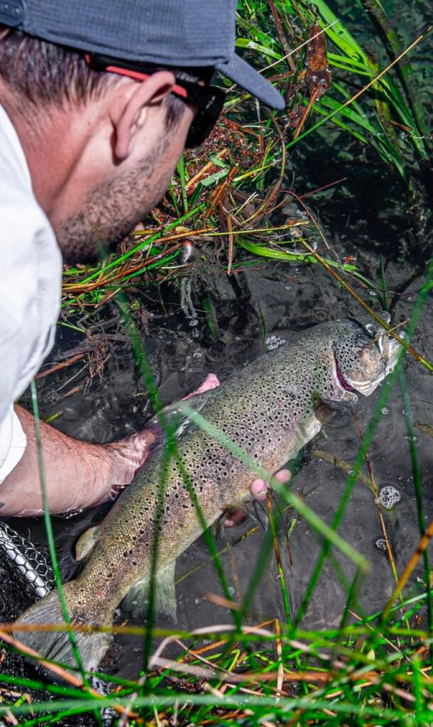 Alessandro Galfrè — attività di guida di pesca