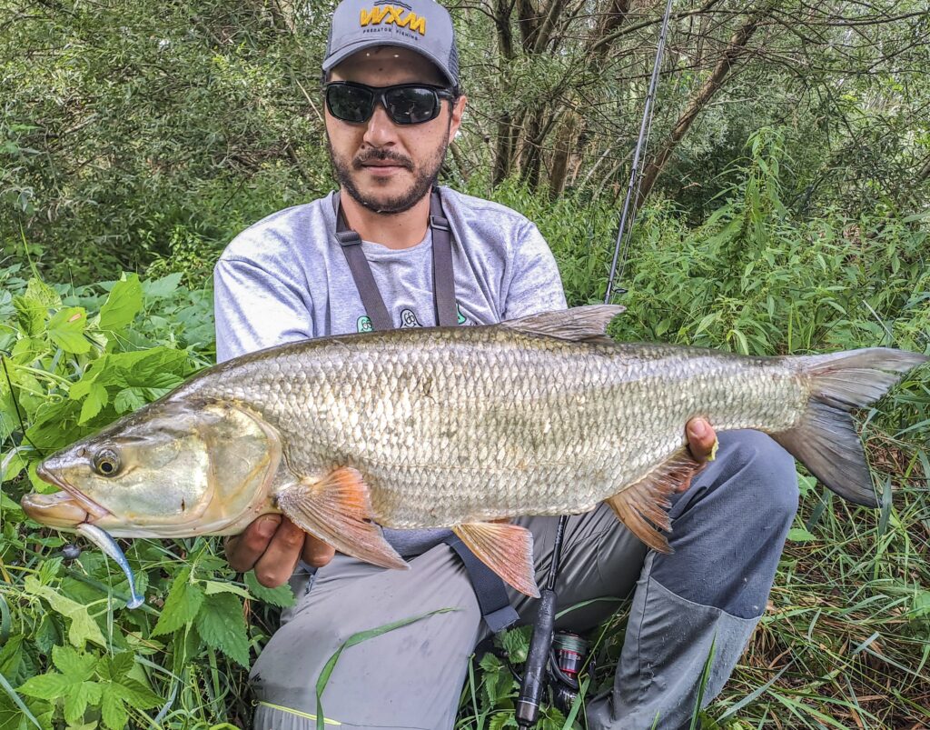 Matteo Cenerini — attività di guida di pesca