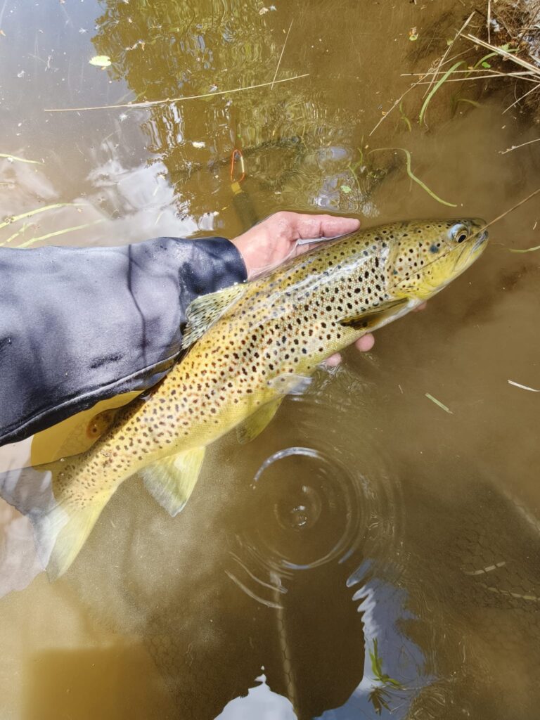 Alessandro Galfrè — attività di guida di pesca