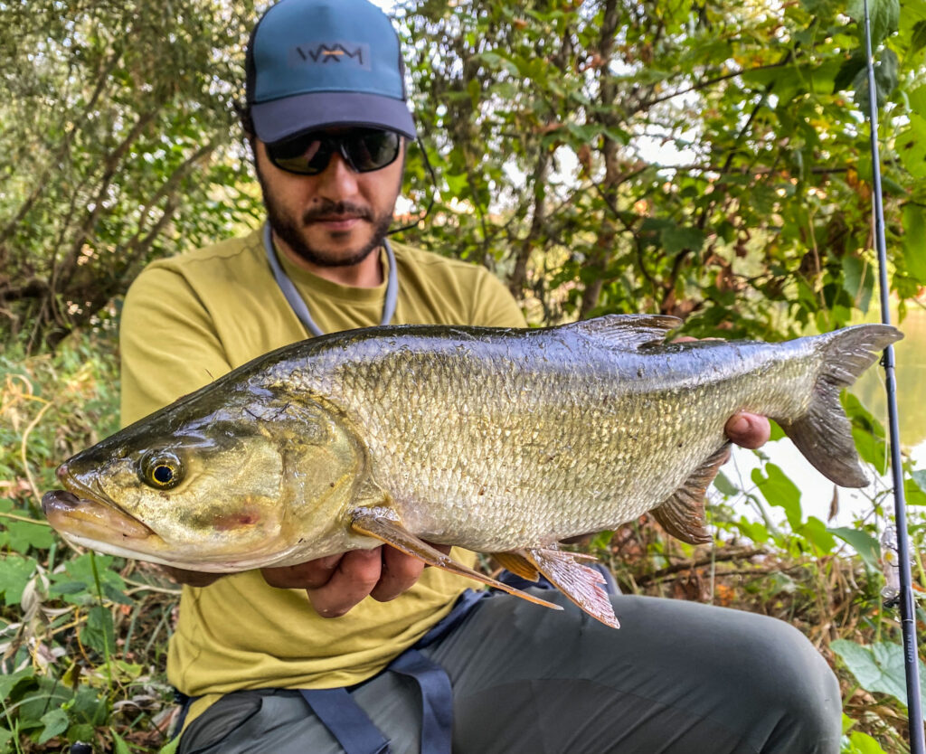 Matteo Cenerini — attività di guida di pesca