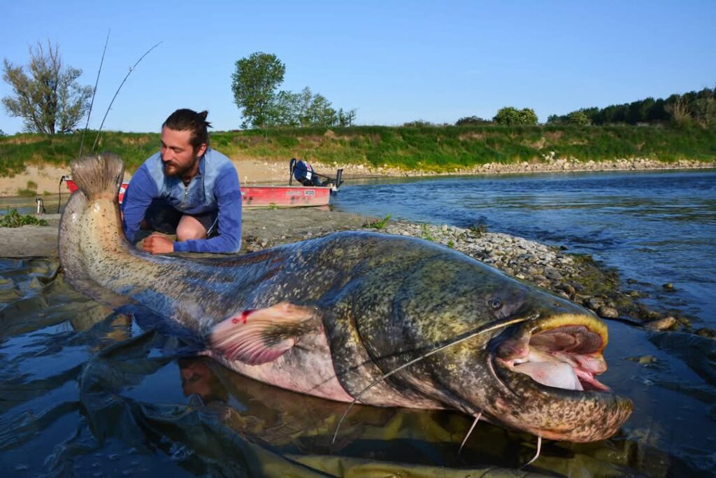 Manuel Baiguera — attività di guida di pesca