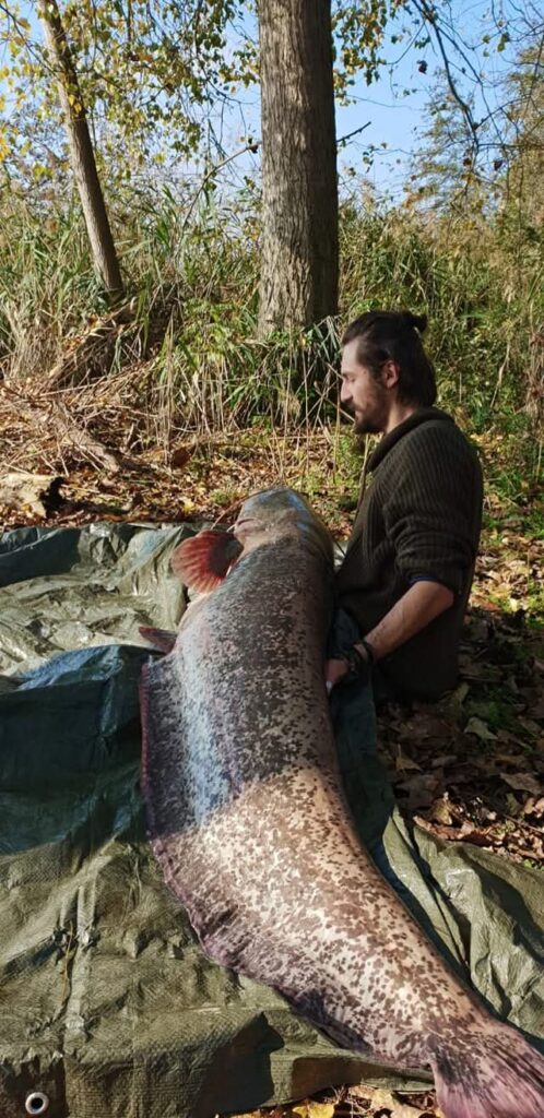 Manuel Baiguera — attività di guida di pesca