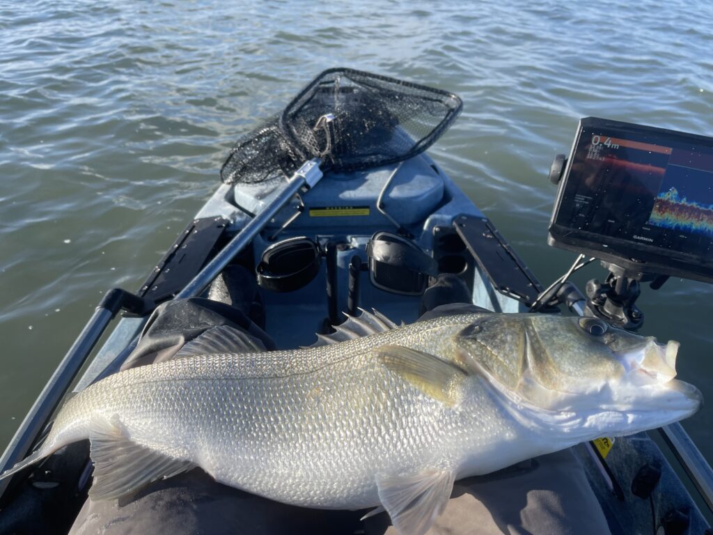 santo Laversa — attività di guida di pesca