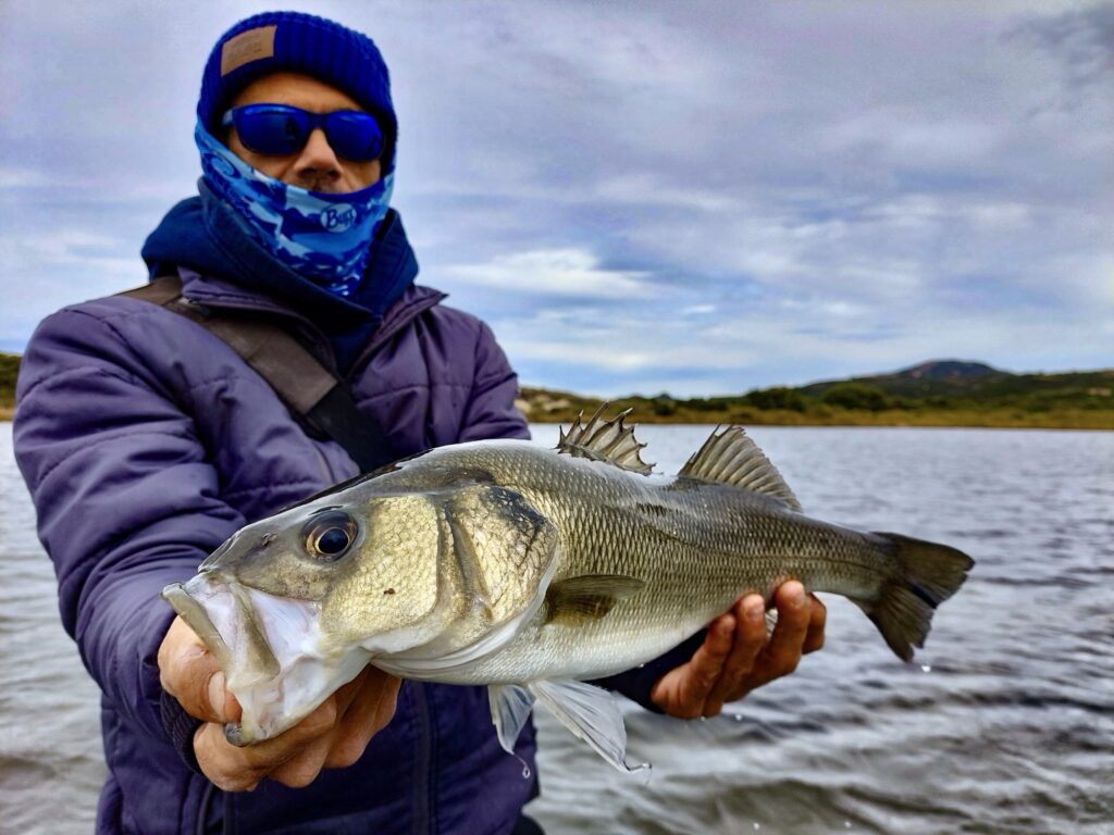 Luigi Angelo Casella — attività di guida di pesca
