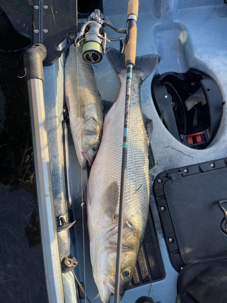 santo Laversa — attività di guida di pesca