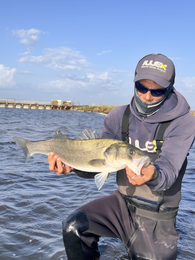 Luigi Angelo Casella — attività di guida di pesca
