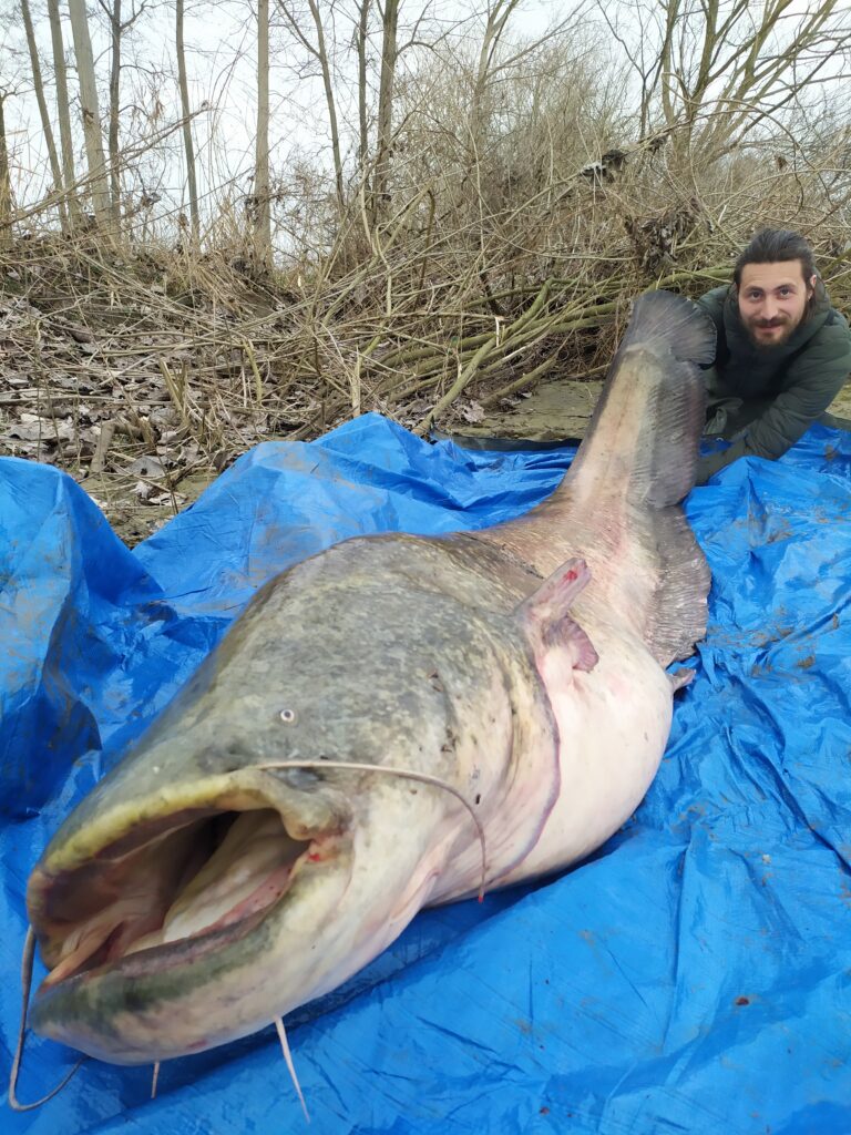 Manuel Baiguera — attività di guida di pesca