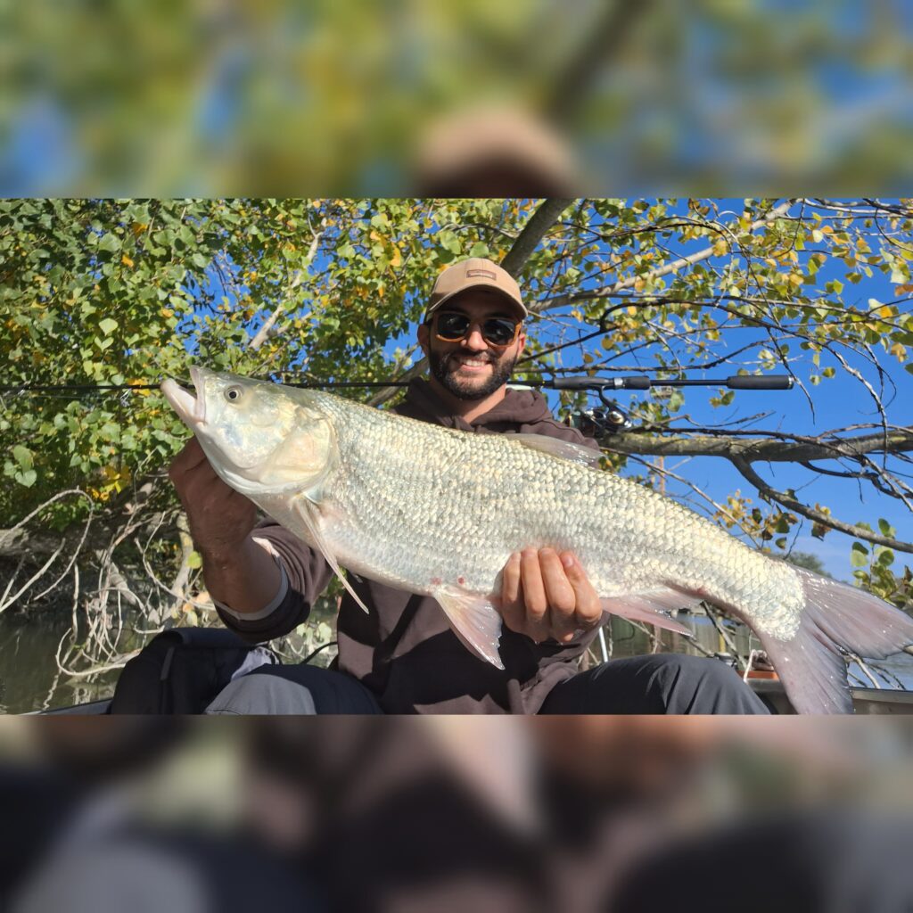 Riccardo de Vito — attività di guida di pesca