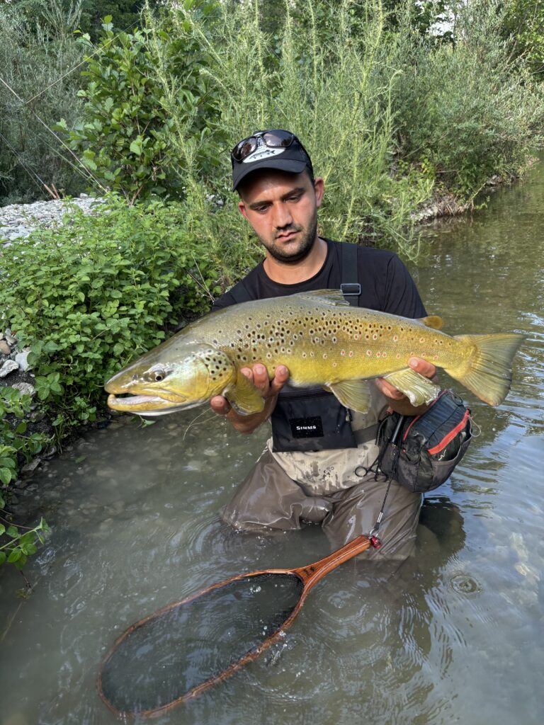 Matteo D’Amico — attività di guida di pesca