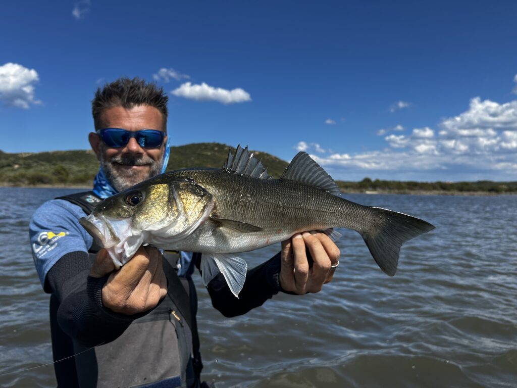 Luigi Angelo Casella — attività di guida di pesca