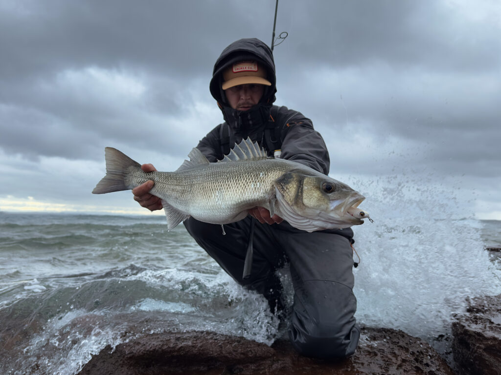 Paolo Angelani — attività di guida di pesca