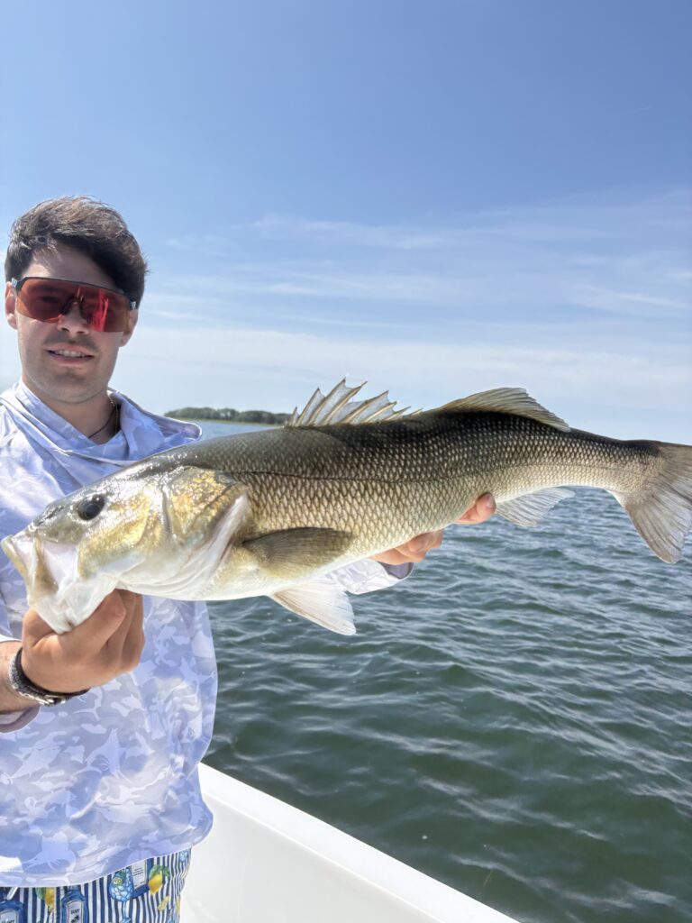 ALEX ARON SPIGOLON — attività di guida di pesca
