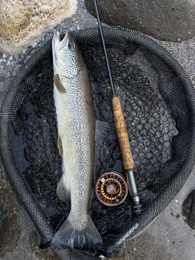 Juri Da Ronch — attività di guida di pesca