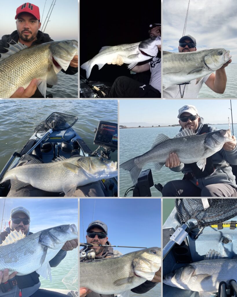 santo Laversa — attività di guida di pesca