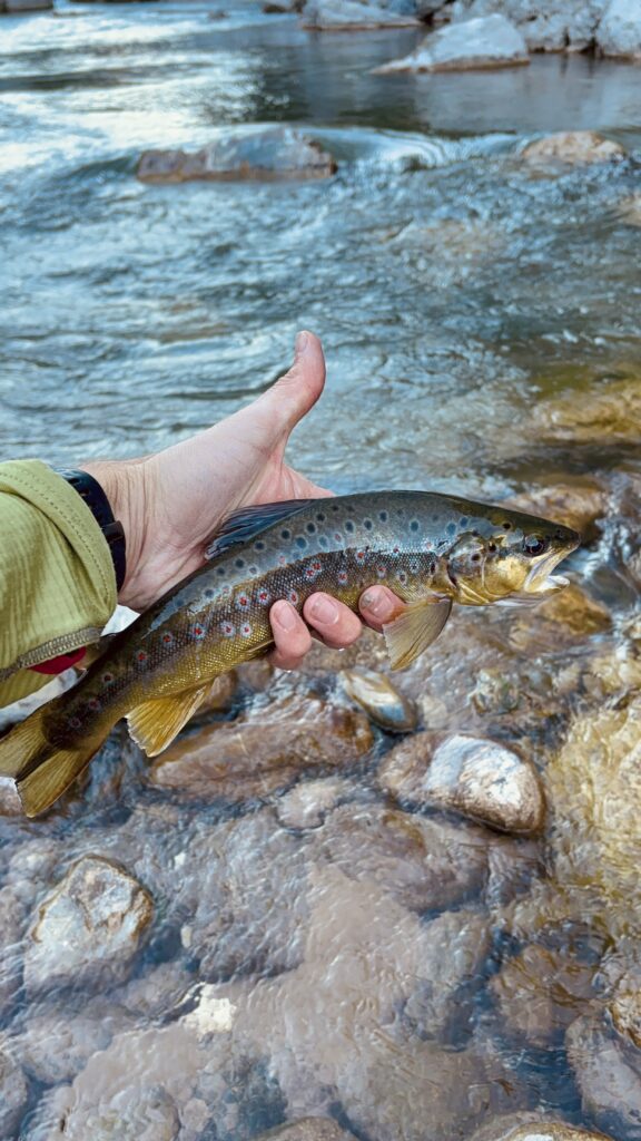 Juri Da Ronch — attività di guida di pesca