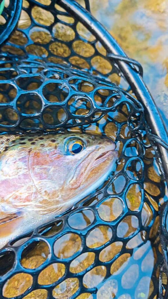 Contenuto Instagram di @sicilian_fishing_guide