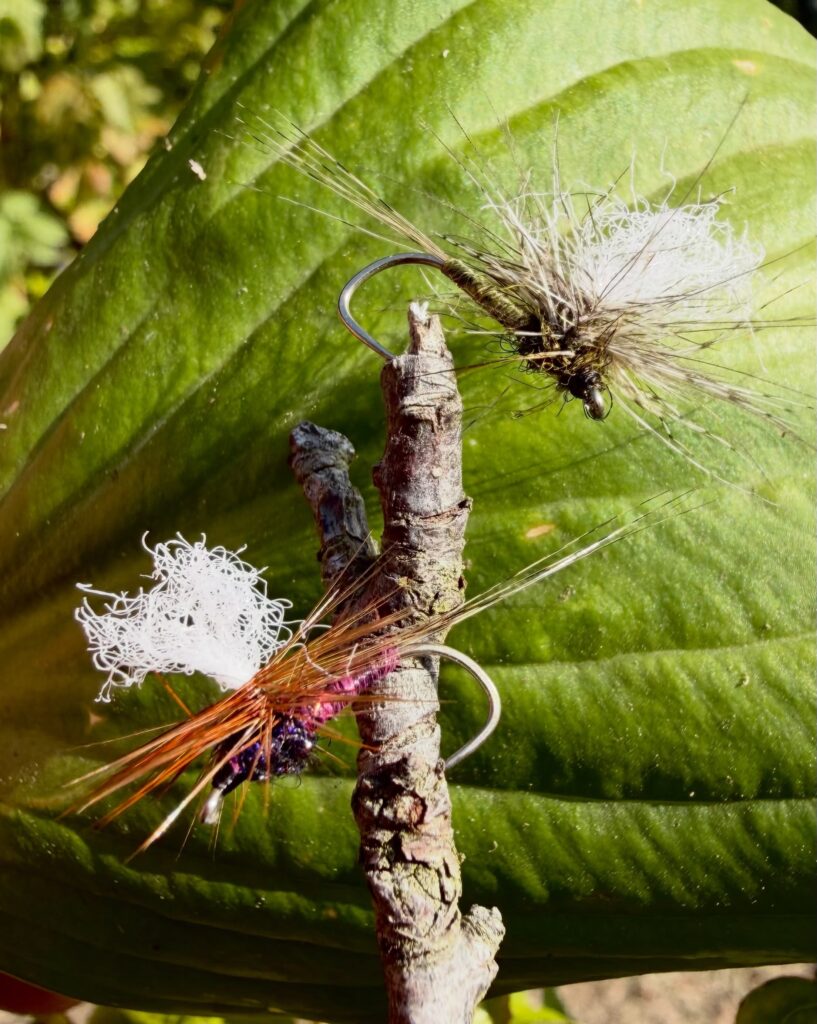 Contenuto Instagram di @frank.fishing.guide.piemonte
