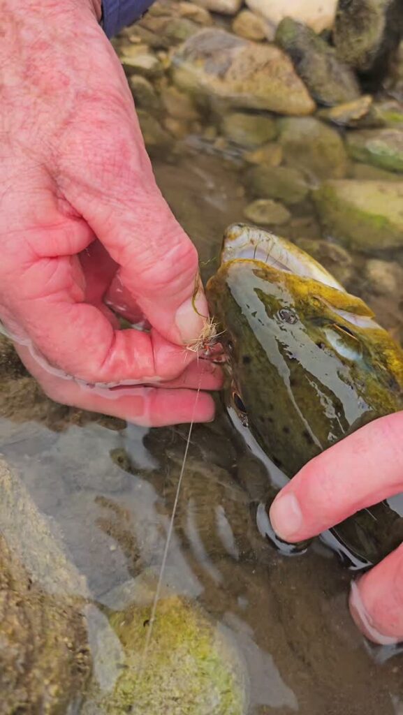 Contenuto Instagram di @fly.fishing.sicily.experience