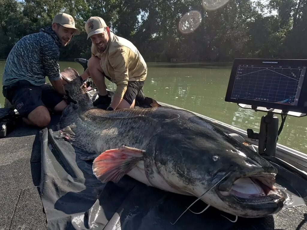 Contenuto Instagram di @adriano_marini_angler