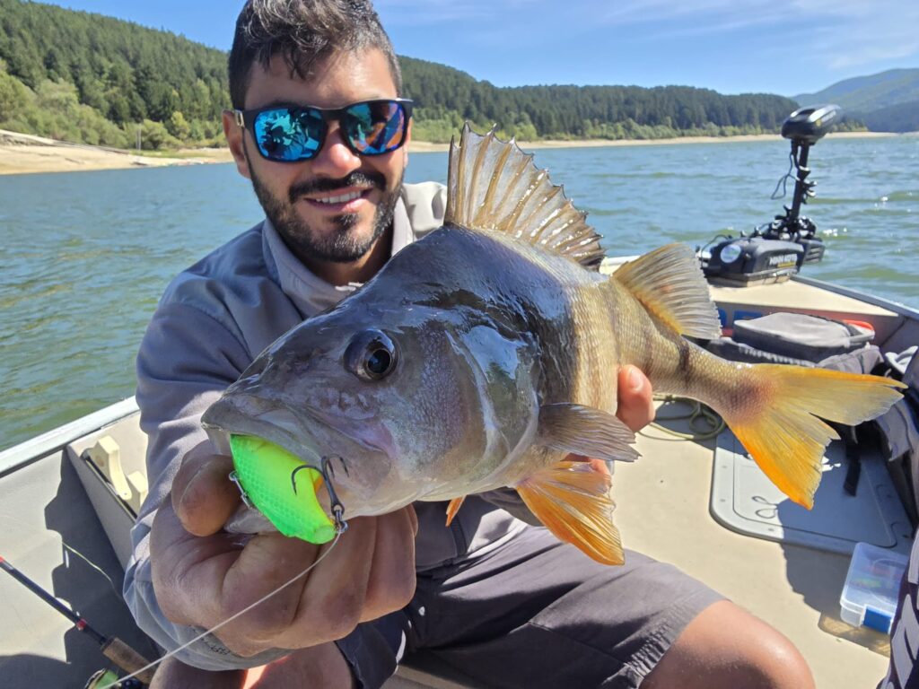 Giulio Lavigna — attività di guida di pesca