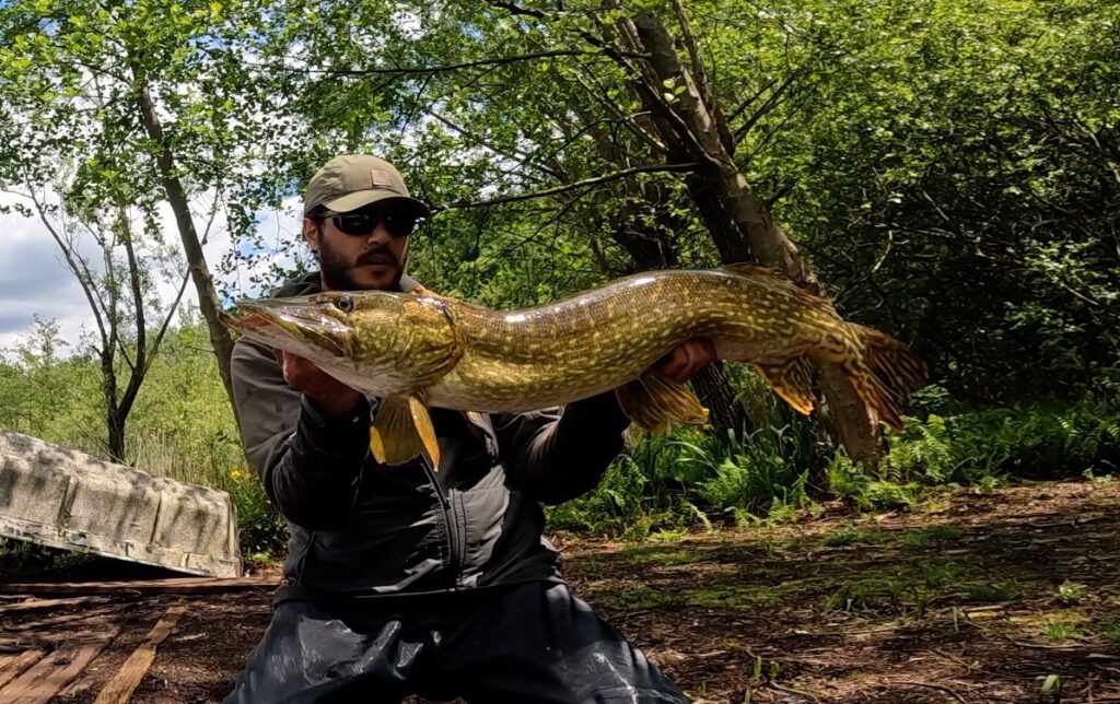 Matteo Cenerini — attività di guida di pesca