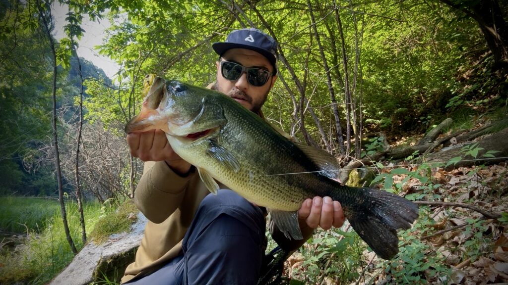 Matteo Cenerini — attività di guida di pesca