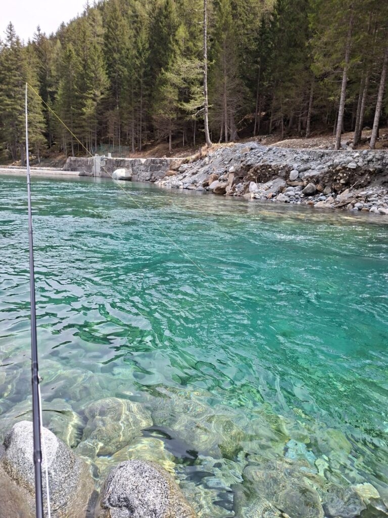 SERGIO SPREAFICO — attività di guida di pesca