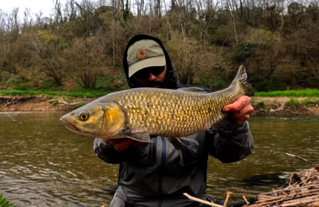 Matteo Cenerini — attività di guida di pesca