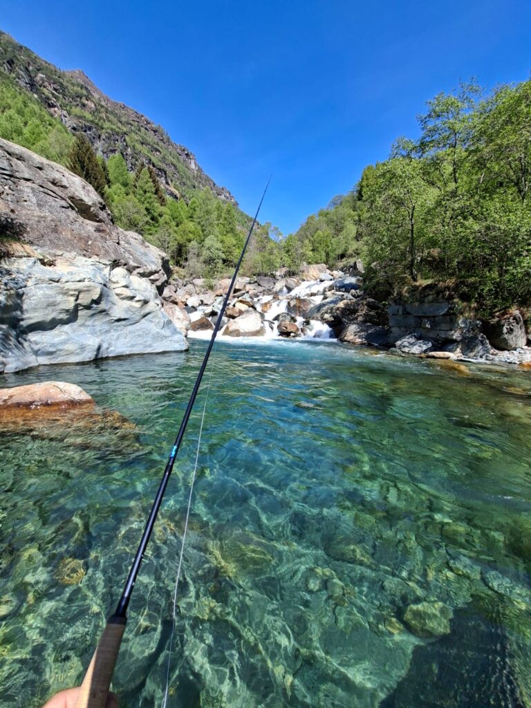 SERGIO SPREAFICO — attività di guida di pesca