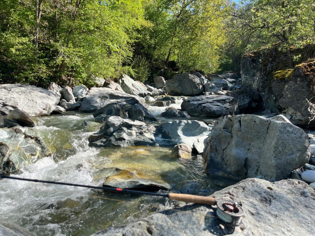 SERGIO SPREAFICO — attività di guida di pesca