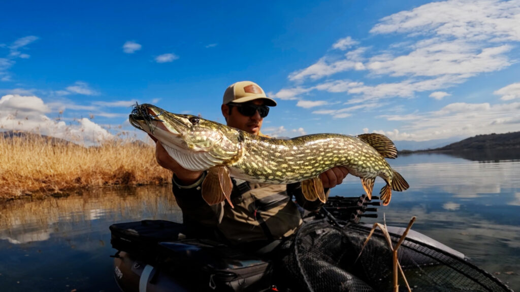 Matteo Cenerini — attività di guida di pesca