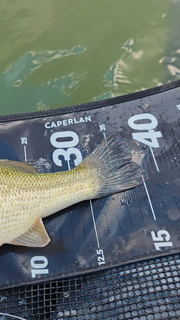 Contenuto Instagram di @sicilian_fishing_guide